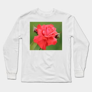 Pink Rose Flower and Buds Long Sleeve T-Shirt